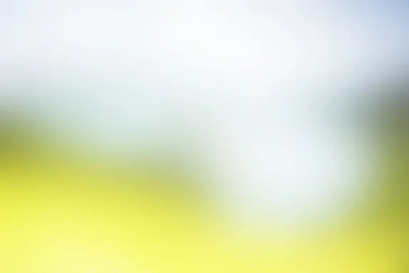 PocketWin Casino Soporte